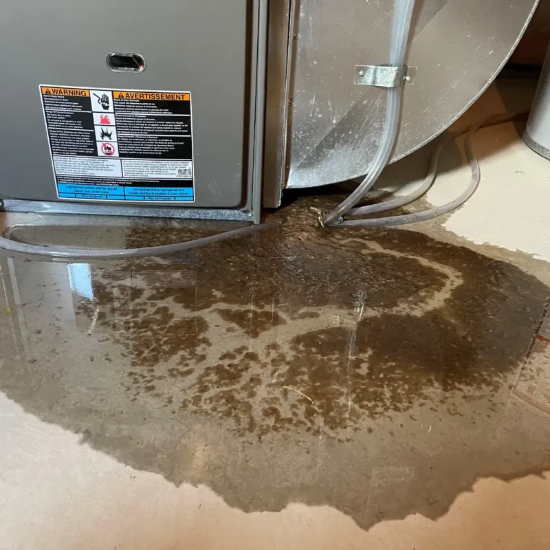 Appliance Leak Cleanup in Bass Lake, IN